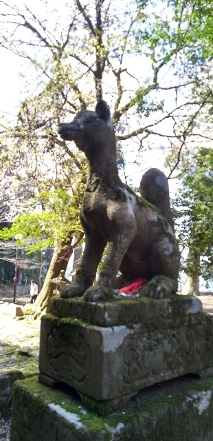 f:id:ecotencyo:20230330112017j:image