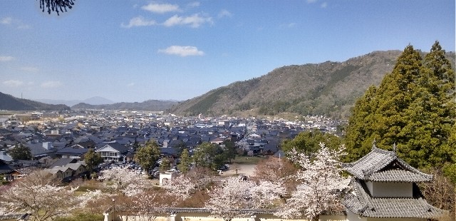 f:id:ecotencyo:20230330112032j:image