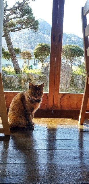 f:id:ecotencyo:20230403232540j:image