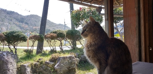 f:id:ecotencyo:20230403232609j:image