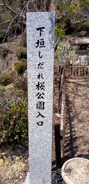 f:id:ecotencyo:20230412191821j:image