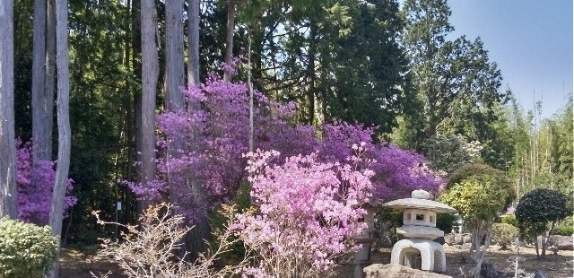 f:id:ecotencyo:20230412191924j:image
