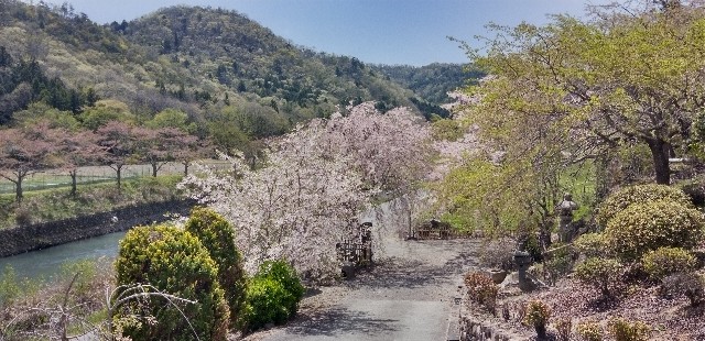 f:id:ecotencyo:20230412191935j:image
