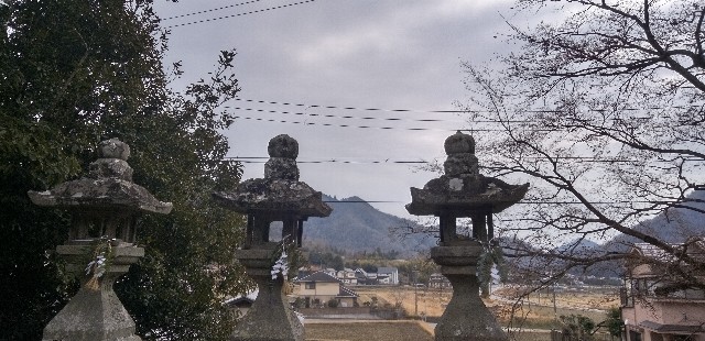 f:id:ecotencyo:20240103194613j:image