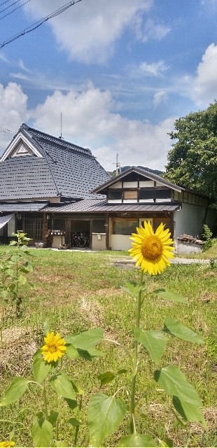 f:id:ecotencyo:20240725102744j:image