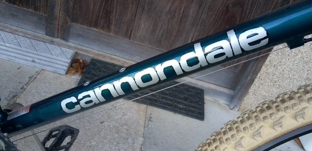 f:id:ecotencyo:20251216121009j:image f:id:ecotencyo:20251216121009j:image