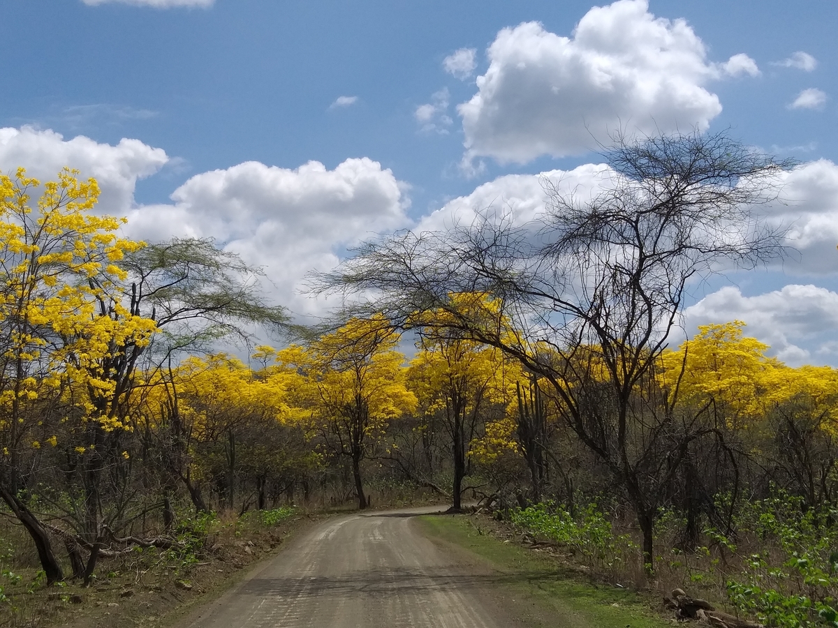 f:id:ecuadorsekido:20200322025408j:plain f:id:ecuadorsekido:20200322025408j:plain