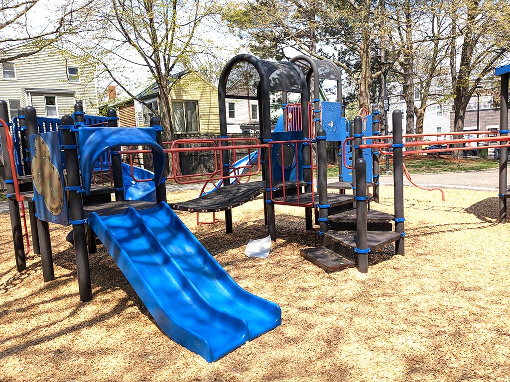 Costa Lopez Taylor Park