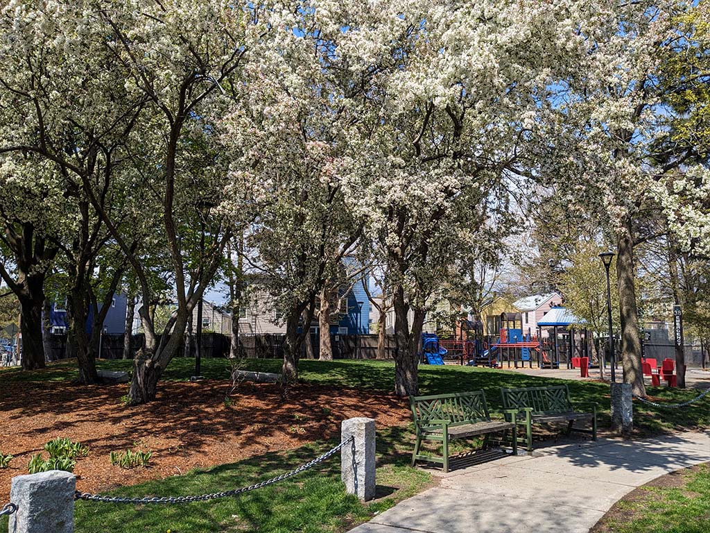 Costa Lopez Taylor Park