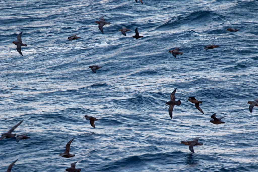 f:id:ed3159:20171118153800j:plain f:id:ed3159:20171118153800j:plain