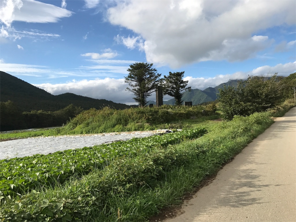 f:id:edamame0416:20180925140027j:image