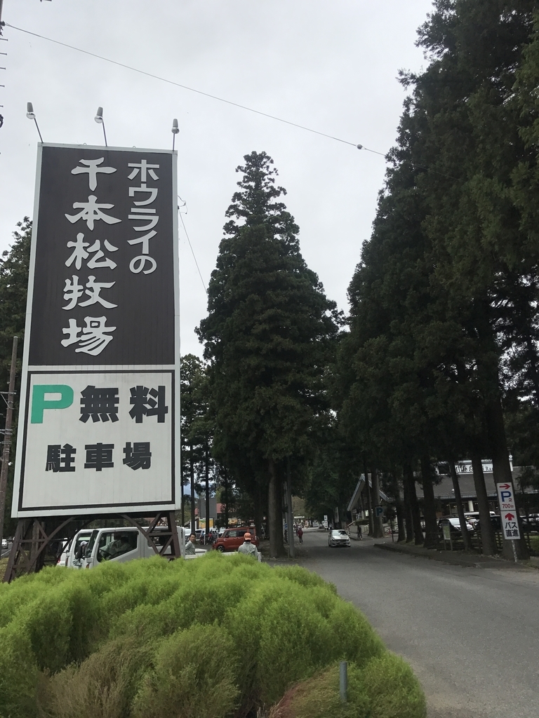 f:id:edamame0416:20181024083550j:plain