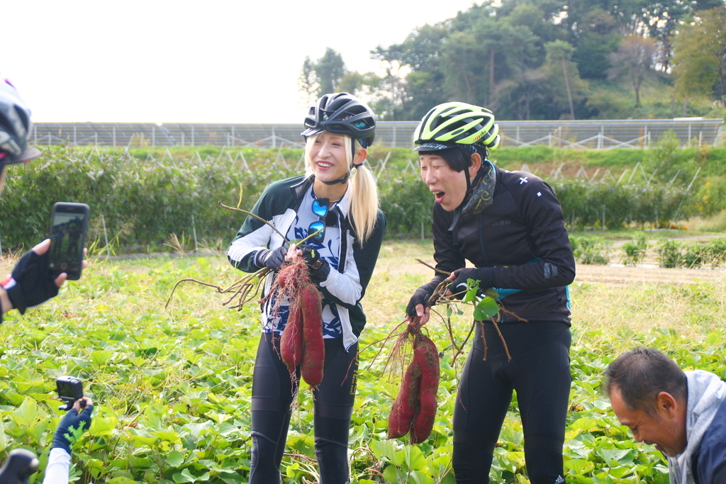 f:id:edamame0416:20181105150828j:plain f:id:edamame0416:20181105150828j:plain