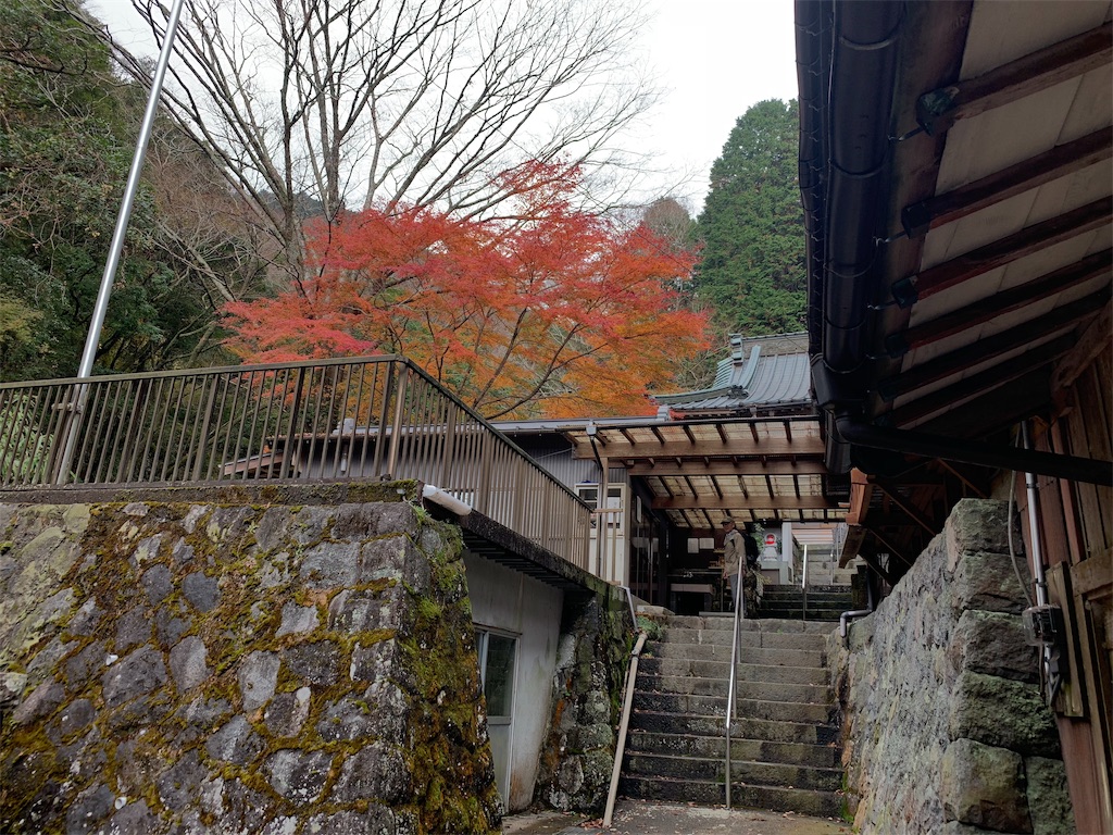 f:id:edamame0416:20181130122346j:image
