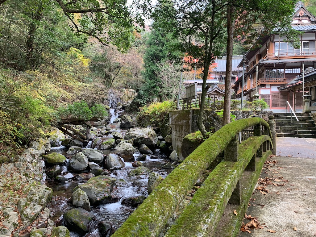 f:id:edamame0416:20181130122352j:image