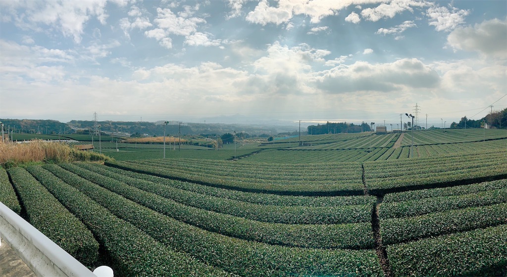f:id:edamame0416:20181130125426j:image
