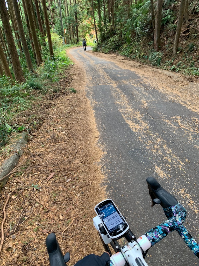 f:id:edamame0416:20181130144914j:image