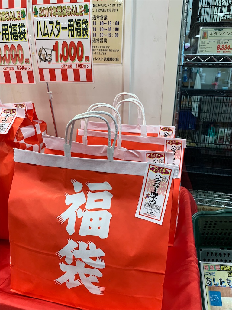 f:id:edamame0416:20181231180532j:image