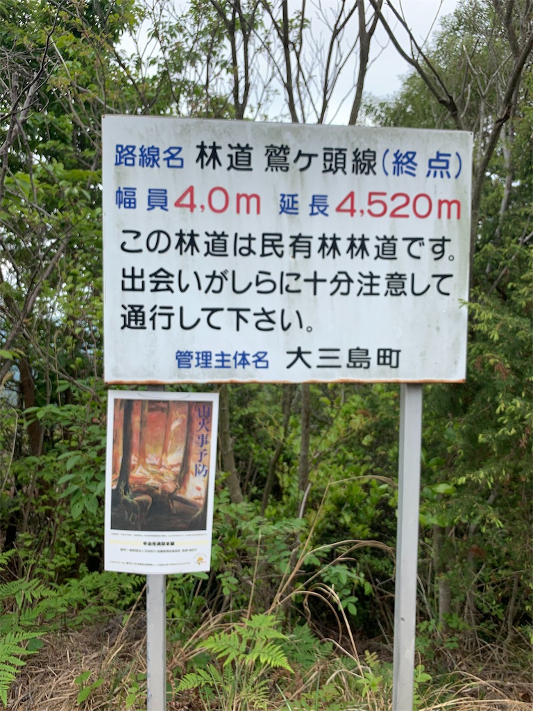 f:id:edamame0416:20190510001201j:image
