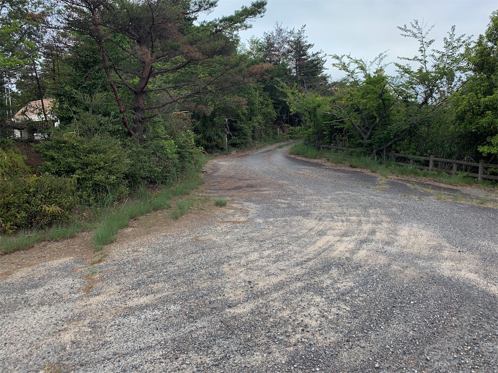 f:id:edamame0416:20190510001206j:image