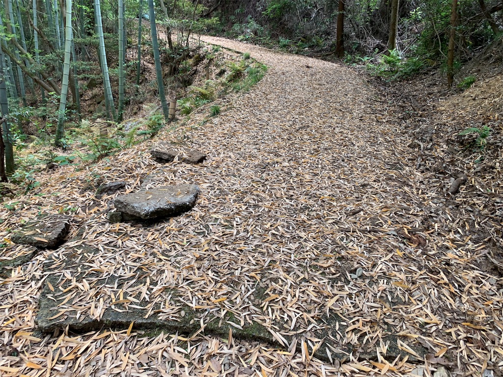 f:id:edamame0416:20190510002433j:image