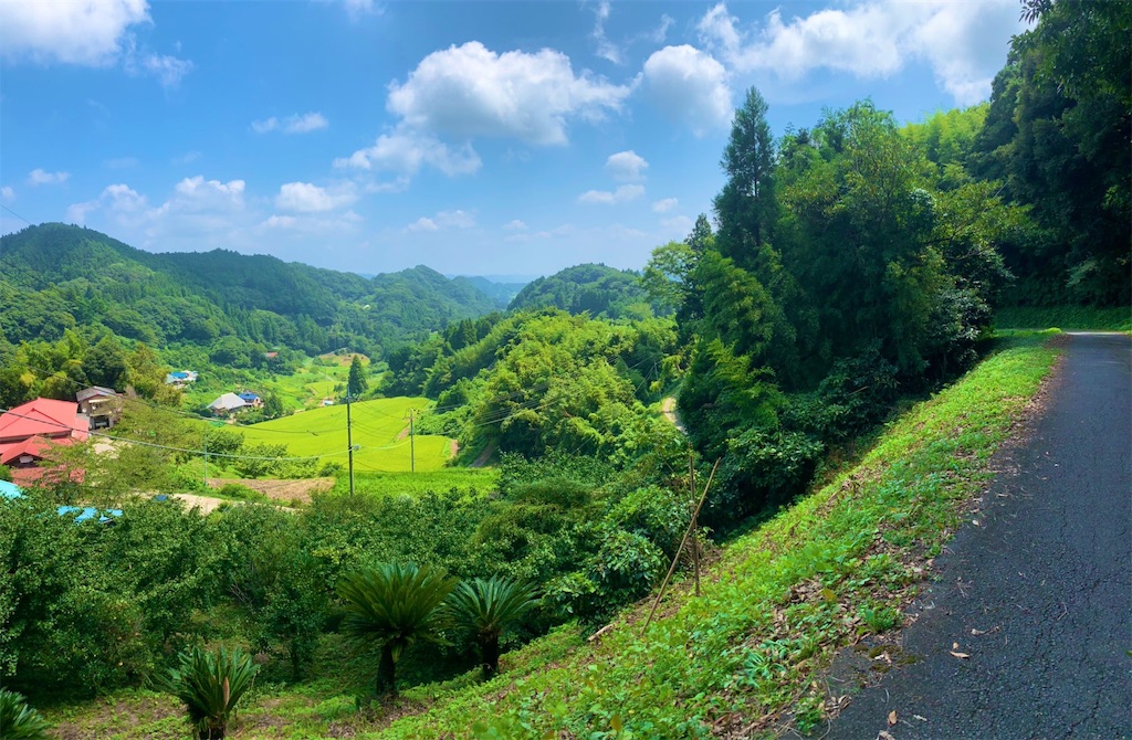 f:id:edamame0416:20190911172924j:image