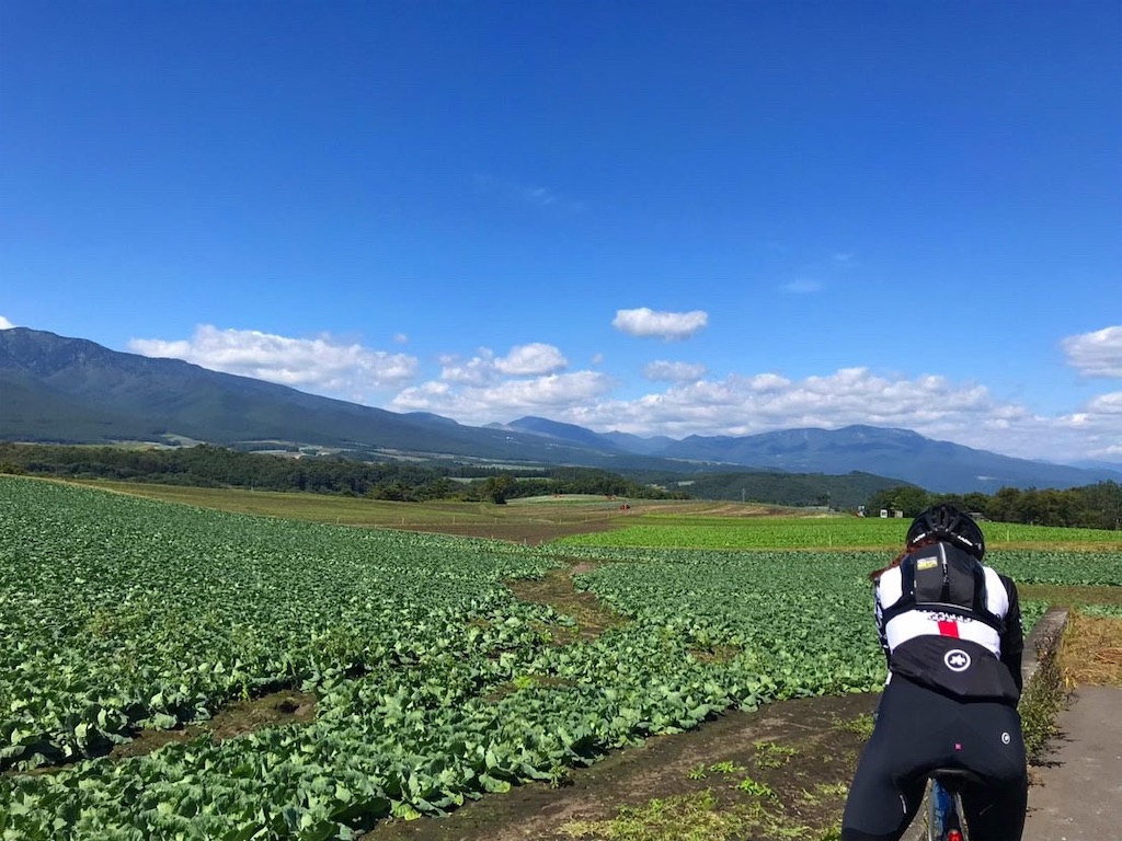 f:id:edamame0416:20191009115048j:image