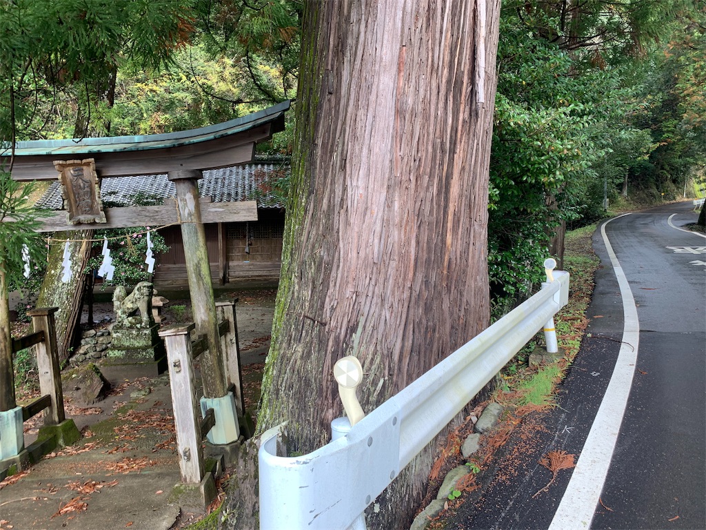 f:id:edamame0416:20191202215823j:image f:id:edamame0416:20191202215823j:image