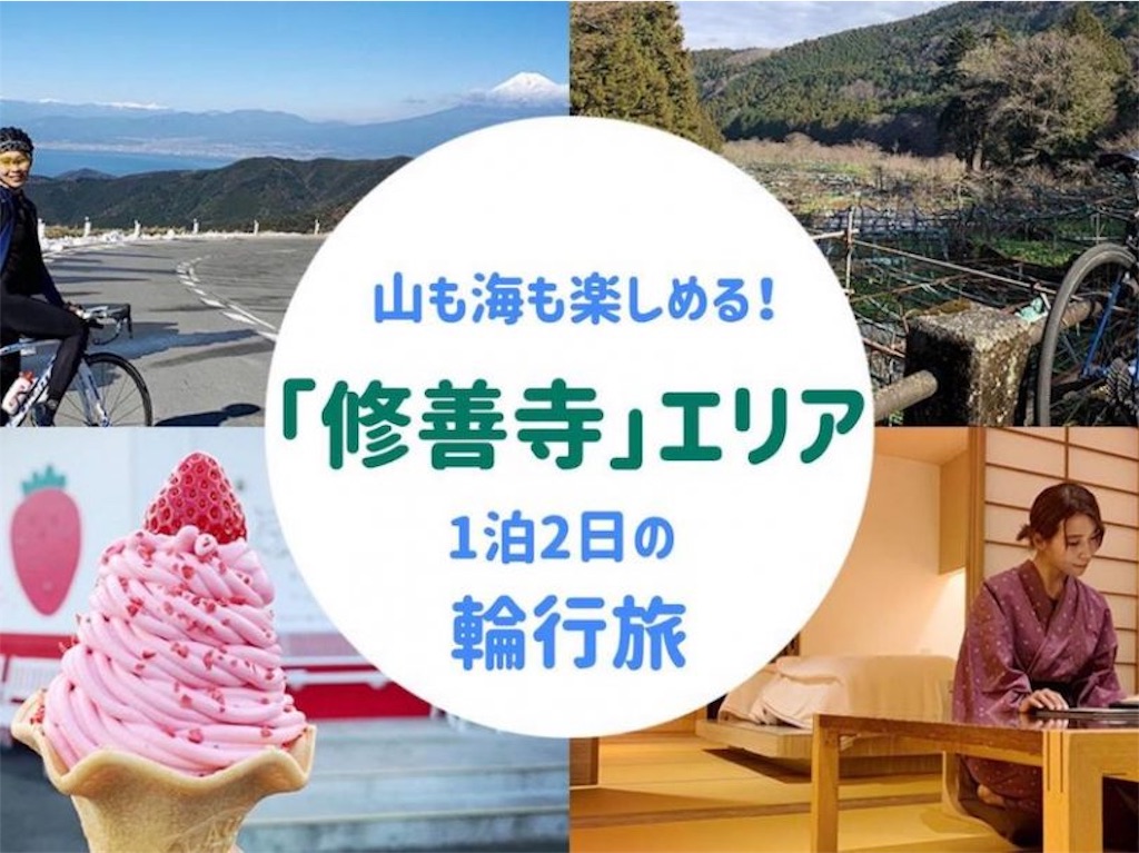 f:id:edamame0416:20200228130836j:image