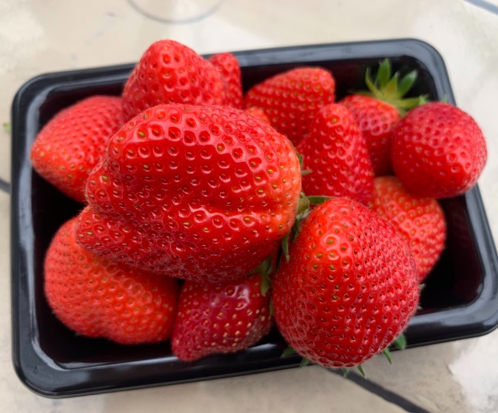 f:id:edamame0416:20210321144338j:image