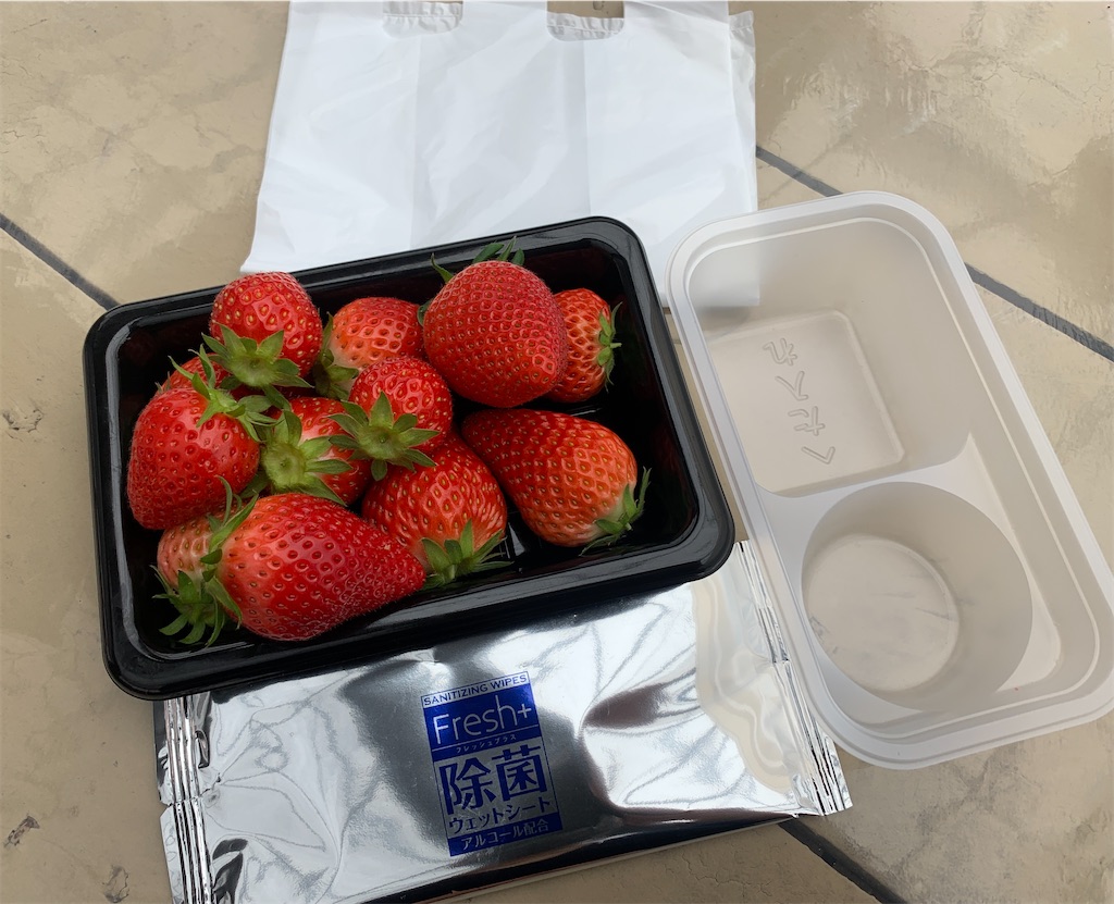 f:id:edamame0416:20210321145950j:image
