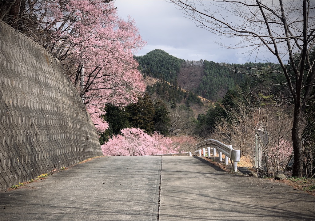f:id:edamame0416:20210322203040j:image