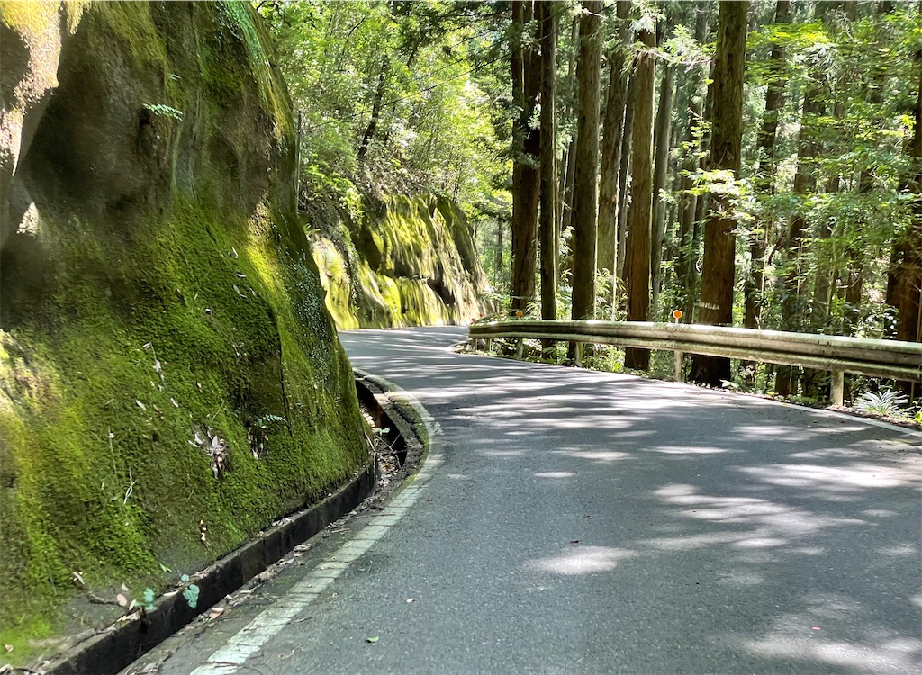 f:id:edamame0416:20210930114236j:image