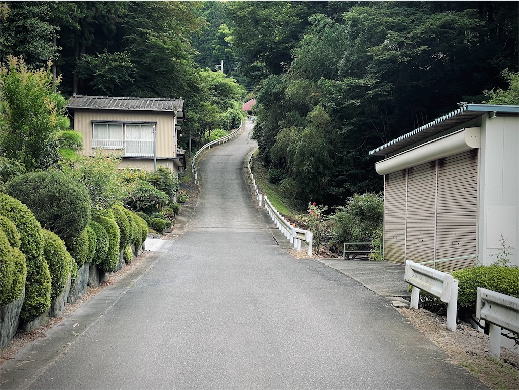 f:id:edamame0416:20210930114337j:image