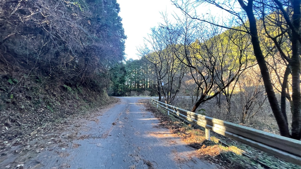 f:id:edamame0416:20211220195607j:image