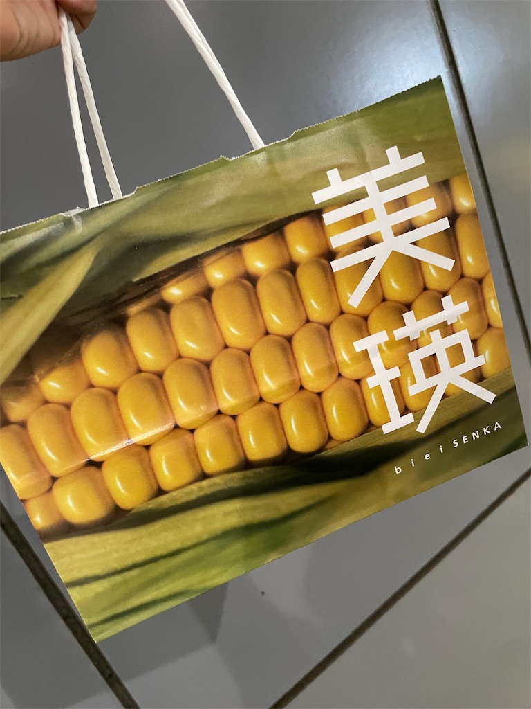 f:id:edamame0416:20241010150203j:image
