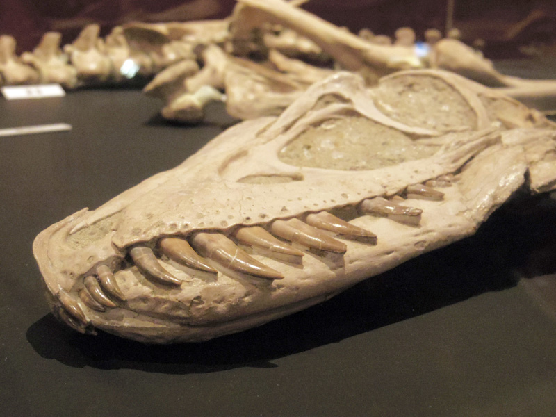 f:id:edamame315:20170403204330j:plain