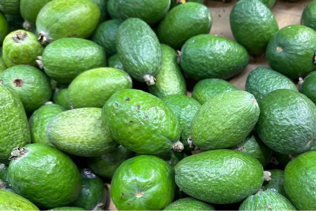 feijoa