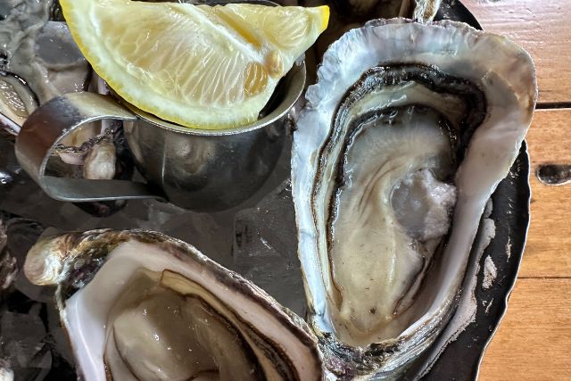 oyster