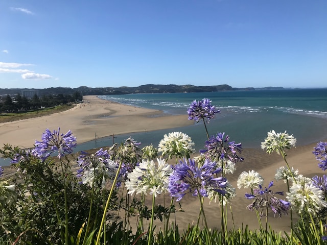 orewa.beach