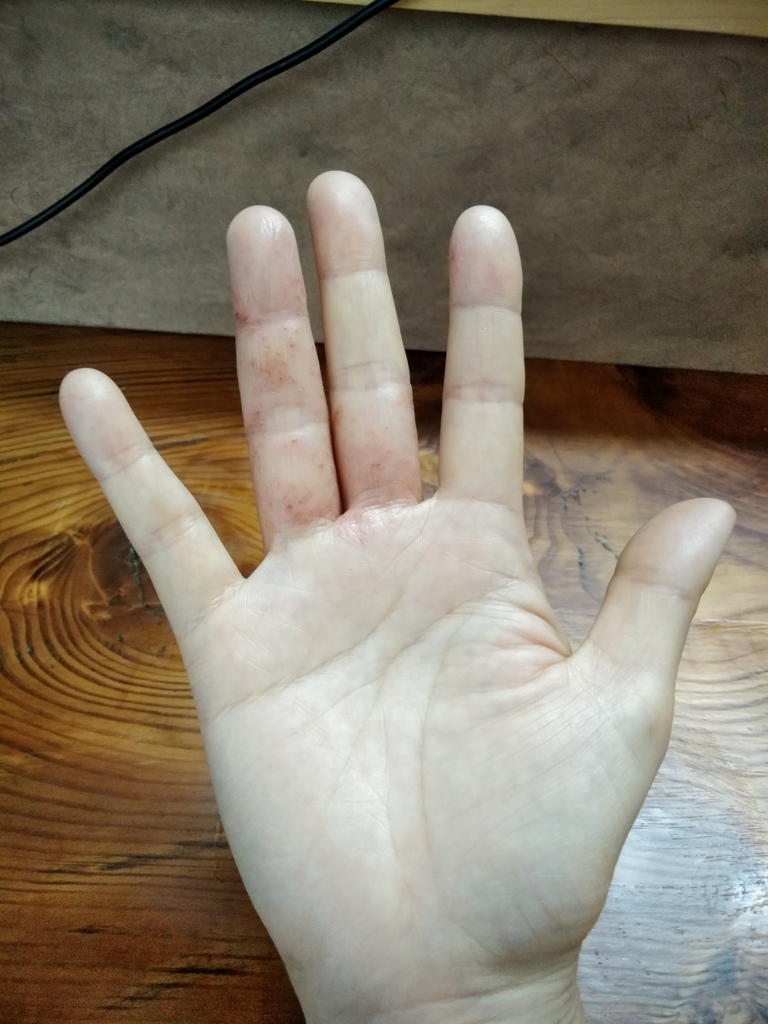 f:id:edamaruko:20180522000737j:plain f:id:edamaruko:20180522000737j:plain