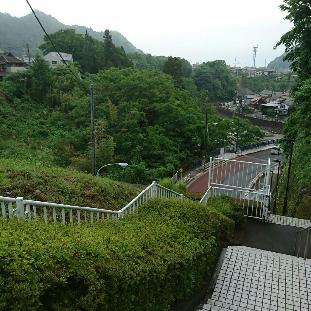 f:id:eden_HTTMK:20180513204538j:image f:id:eden_HTTMK:20180513204538j:image