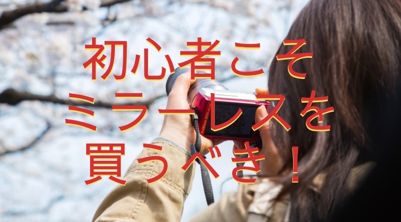 f:id:edfencejirto:20190423221528j:plain f:id:edfencejirto:20190423221528j:plain