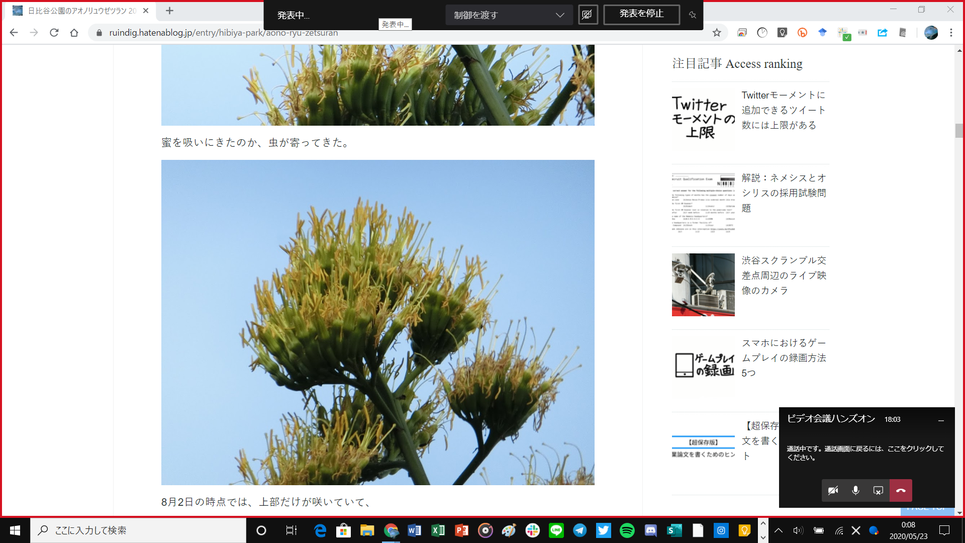 f:id:edgeknight:20200523000842 f:id:edgeknight:20200523000842