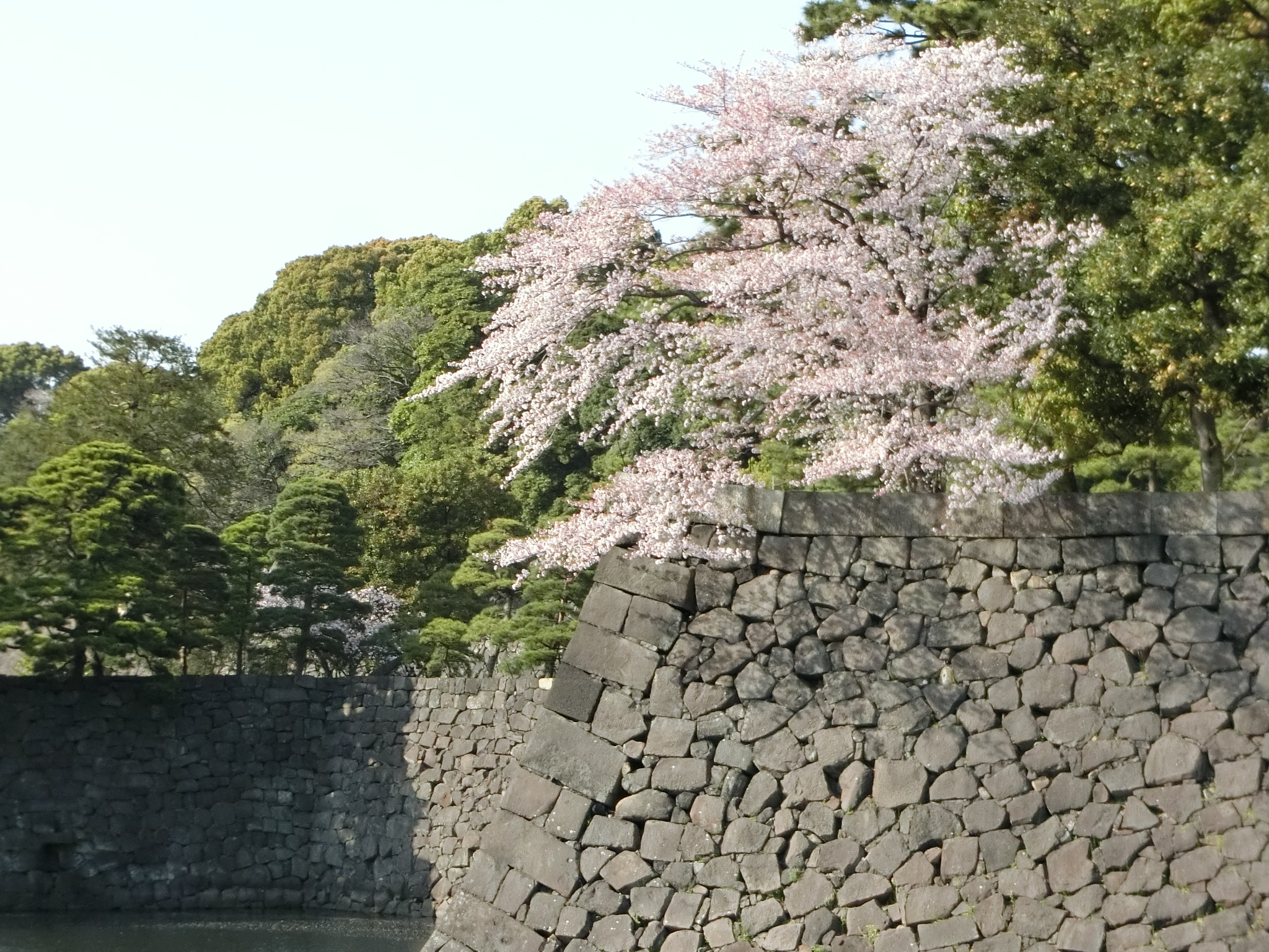 f:id:edgeknight:20200916102058j:plain
