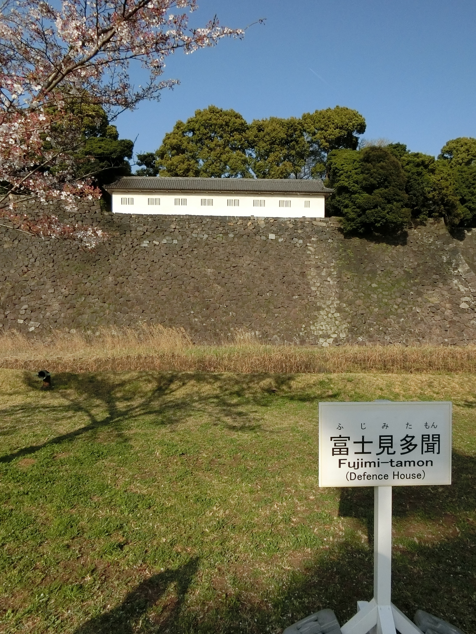 f:id:edgeknight:20200916102535j:plain