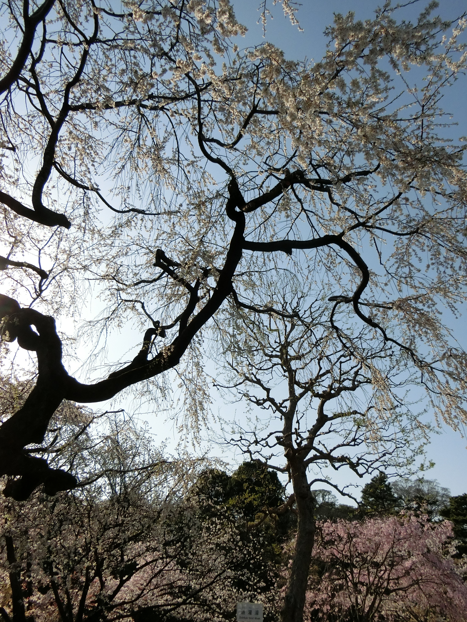 f:id:edgeknight:20200916102744j:plain