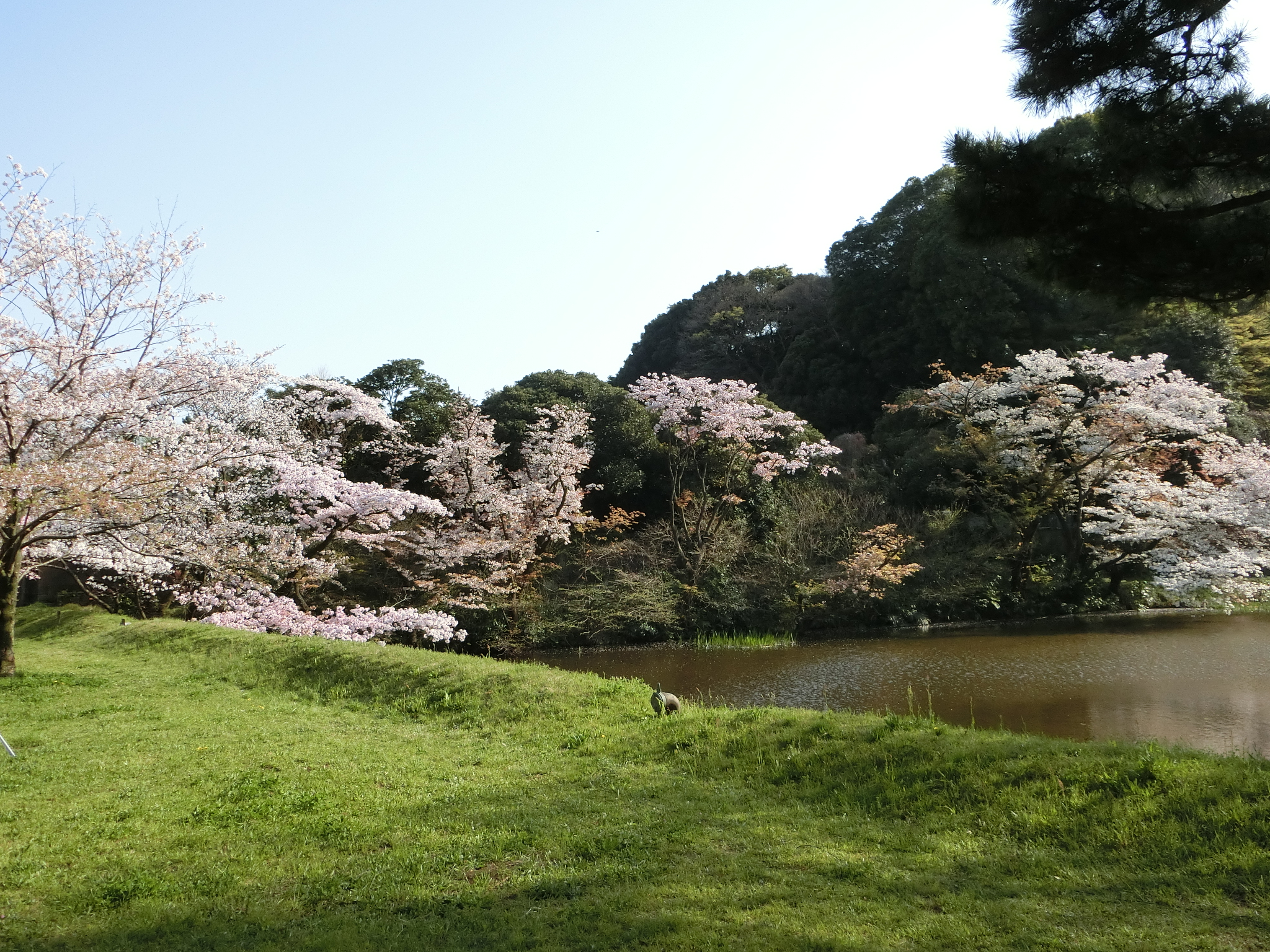 f:id:edgeknight:20200916103145j:plain