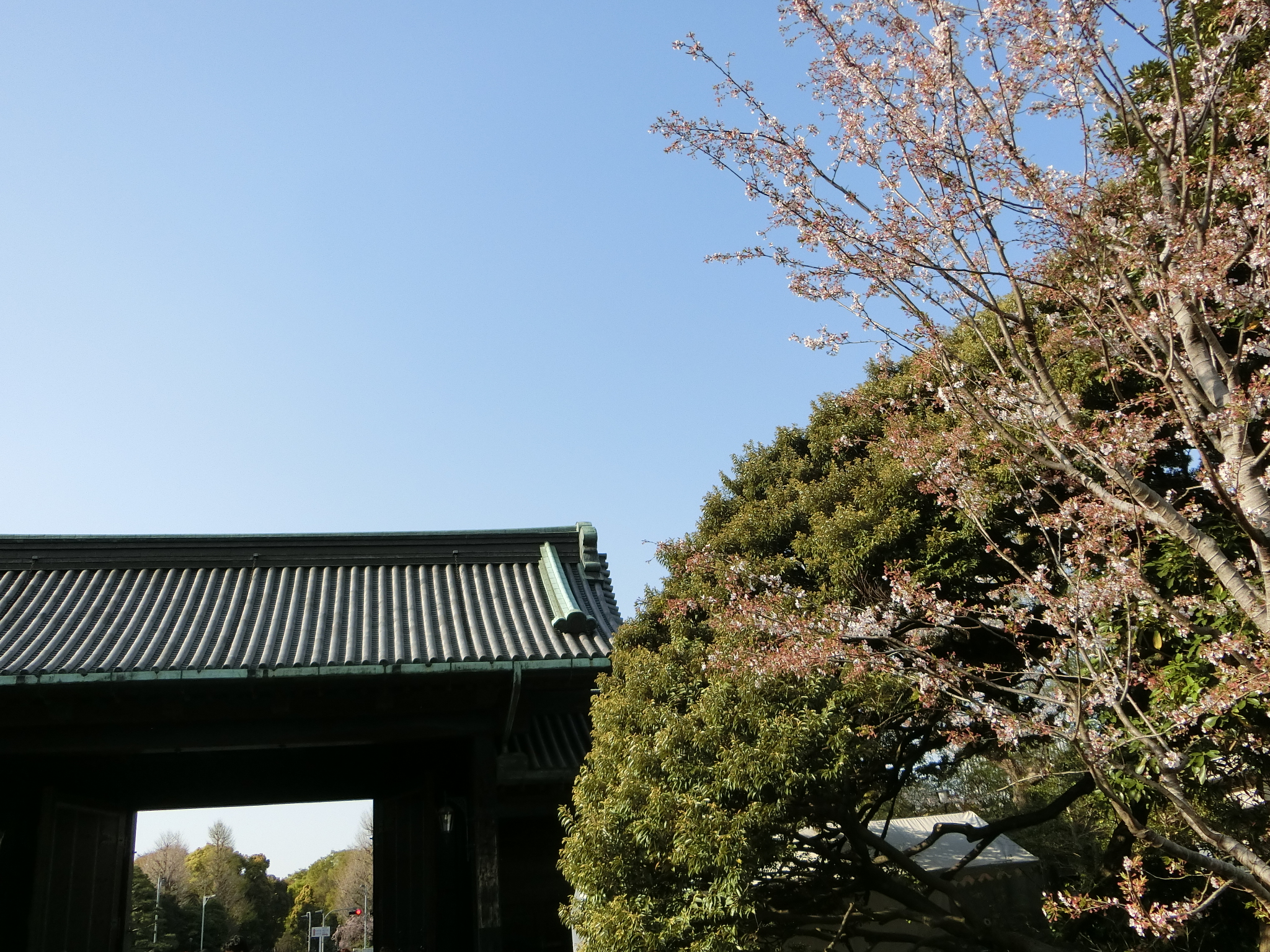 f:id:edgeknight:20200916103330j:plain
