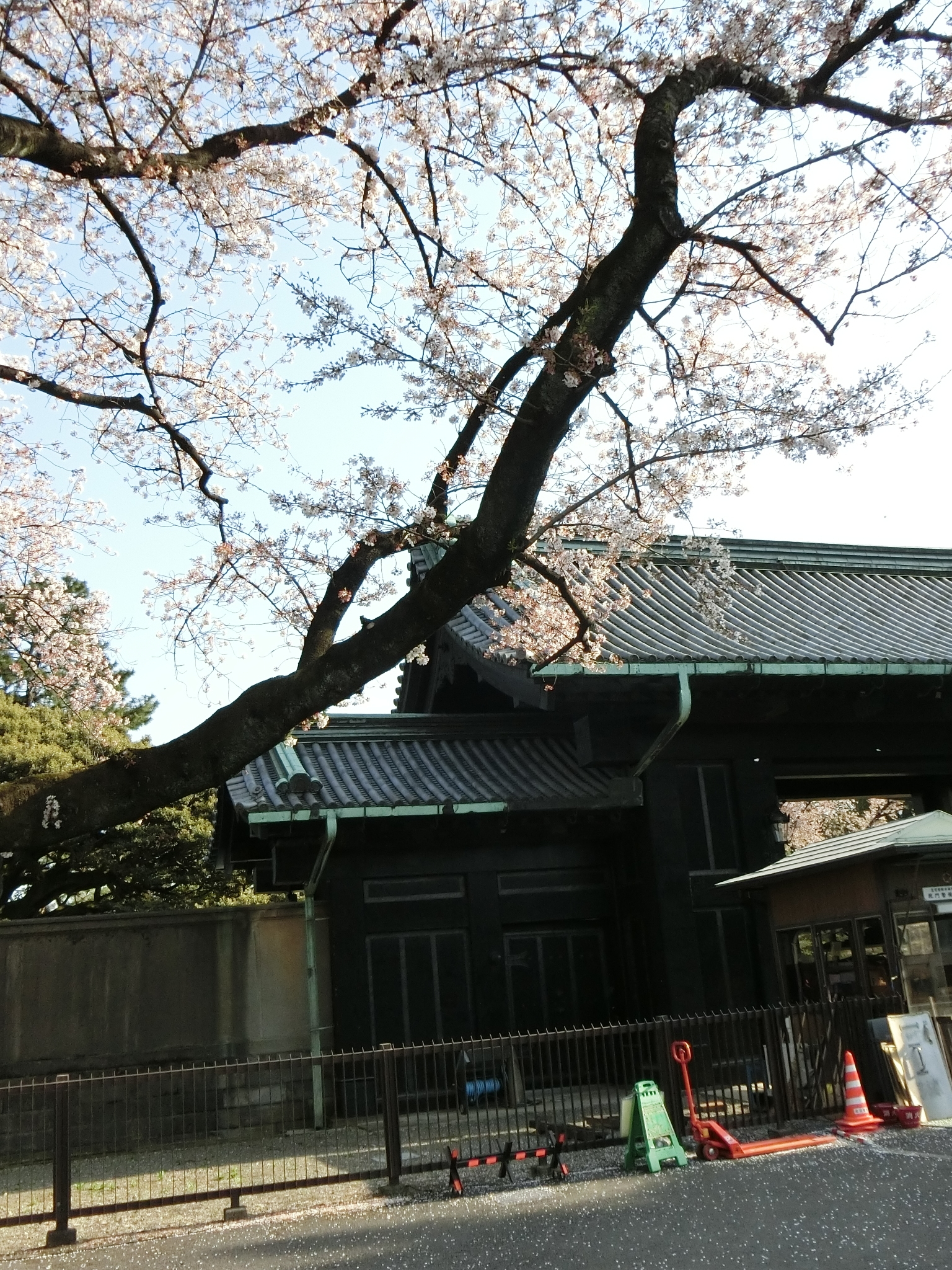 f:id:edgeknight:20200916103434j:plain